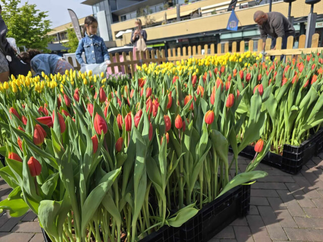 Paasactiviteiten 2026