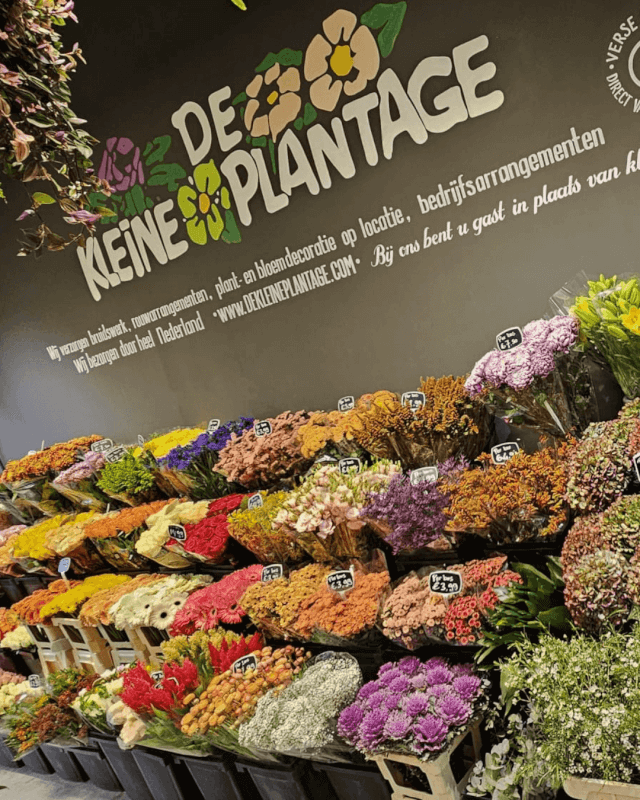 De Kleine Plantage geopend in Berkel Centrum!